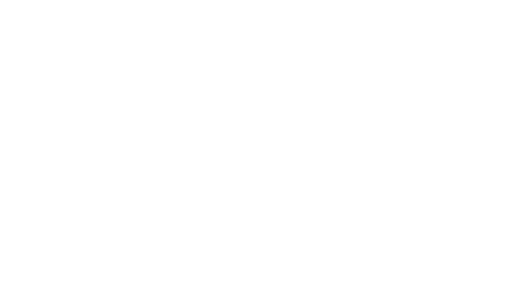 Planet Nusa logo